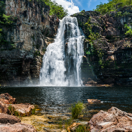 Cerrado para saúde do Brasil