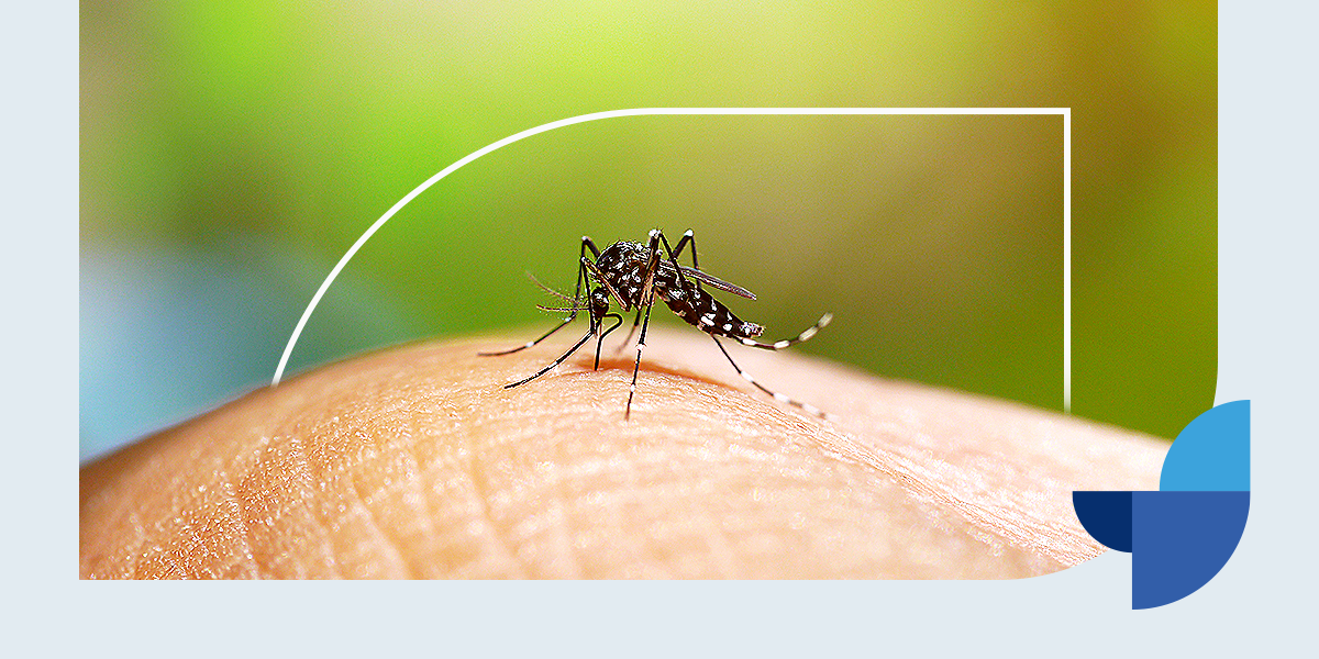 cuidados com a dengue